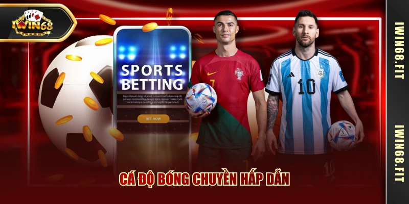 Cá độ bóng chuyền hấp dẫn