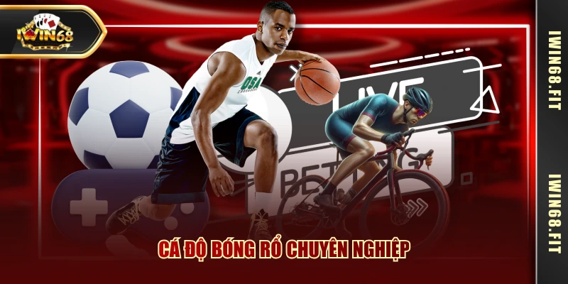 Cá độ bóng rổ chuyên nghiệp