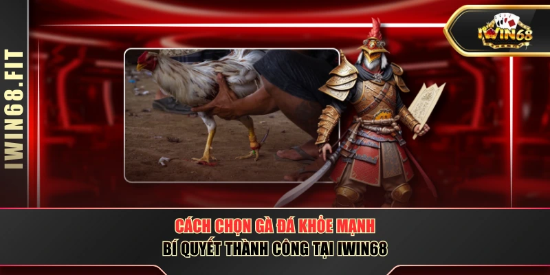 Cách Chọn Gà Đá Khỏe Mạnh - Bí Quyết Thành Công Tại IWIN68