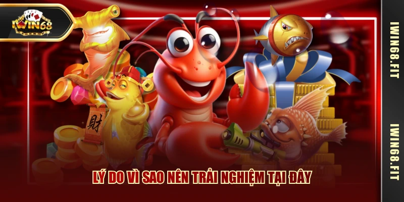 Lý do vì sao nên trải nghiệm tại đây