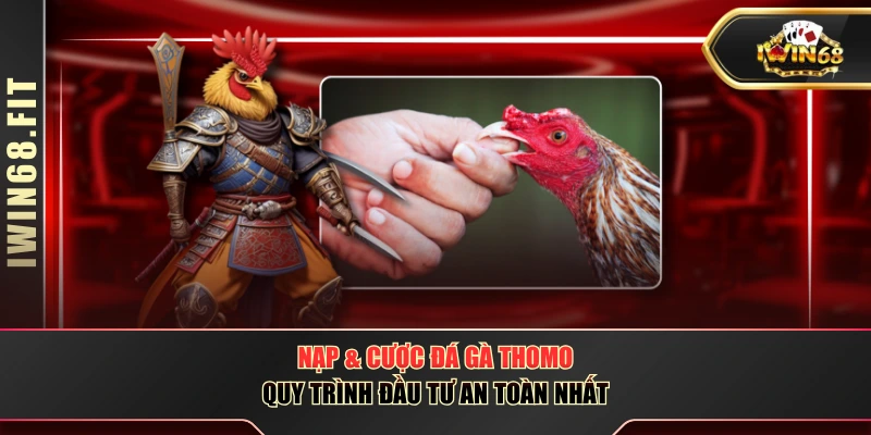 Nạp & Cược Đá Gà Thomo - Quy Trình Đầu Tư An Toàn Nhất