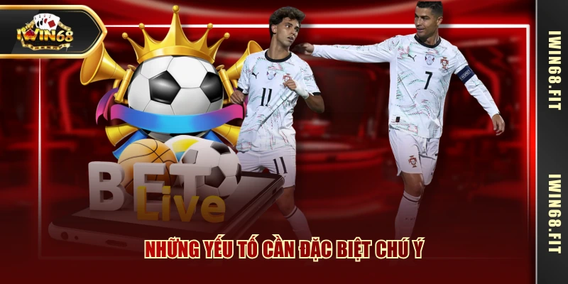 Những yếu tố cần đặc biệt chú ý