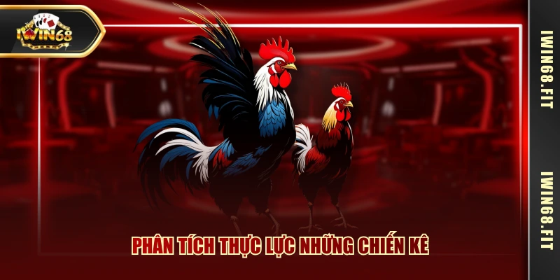 Phân tích thực lực những chiến kê