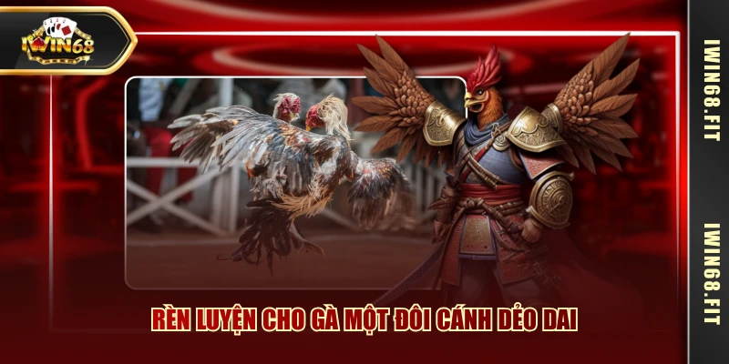 Rèn luyện cho gà một đôi cánh dẻo dai