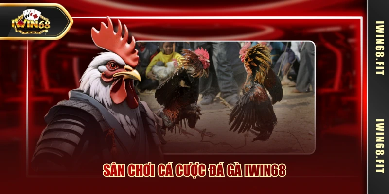 Sân chơi cá cược đá gà IWIN68