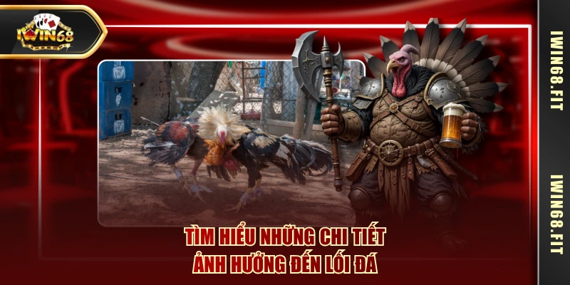 Tìm hiểu những chi tiết ảnh hưởng đến lối đá