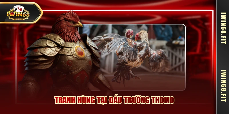 Tranh hùng tại đấu trường Thomo